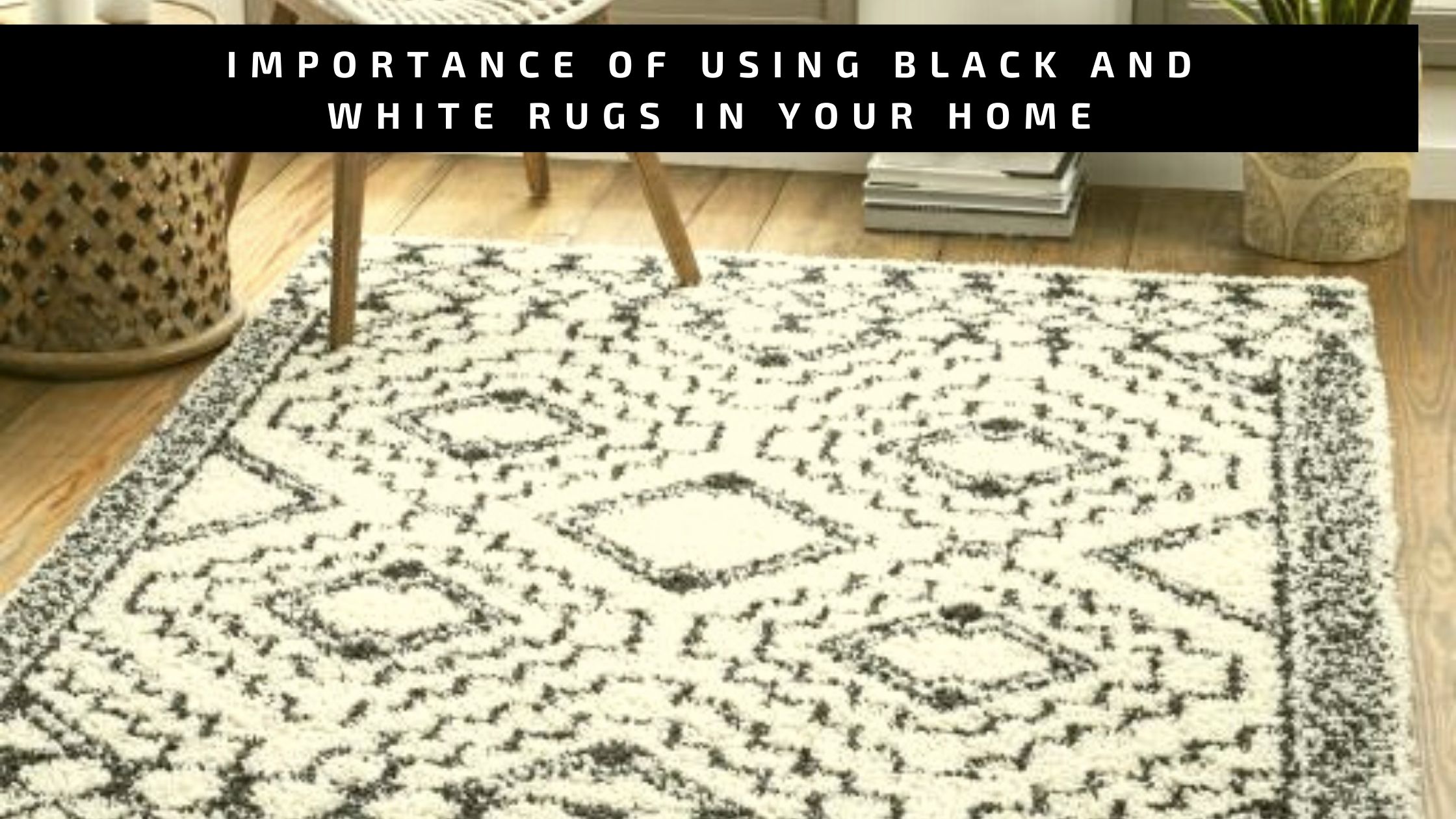 Black And White Rugs